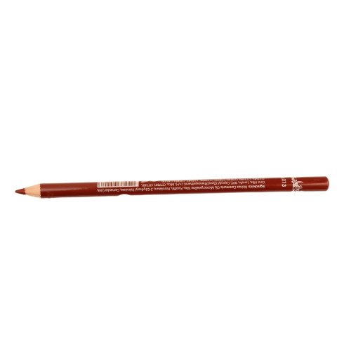 IMG_4187-removebg-preview مداد لب ضدآب بارین کد 013 - Image 1