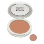 هایلایتر کنسی شماره H2